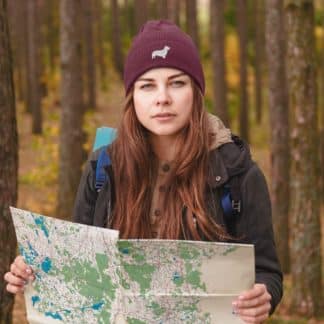 Corgi Owner Gifts, Unisex Beanie Ski Hat With Embroidered Design From The House Of Dog.