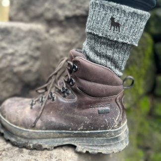 Jack Russell Terrier Owner Gift Men's Wool Blend Boot Socks with Cushion Sole from The House Of Dog x 2 PAIRS. One Size Men's 6-11