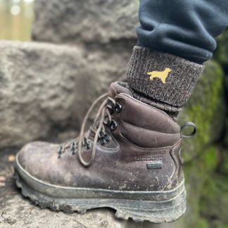Golden Retriever Owner Gift Men's Wool Blend Boot Socks with Cushion Sole from The House Of Dog x 2 PAIRS. One Size Men's 6-11