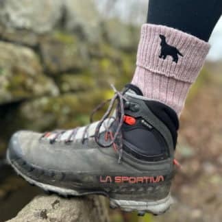 Cocker Spaniel Owner Gift Women's Wool Blend Boot Socks with Cushion Sole from The House Of Dog x 2 PAIRS. One Size Ladies's 4-8