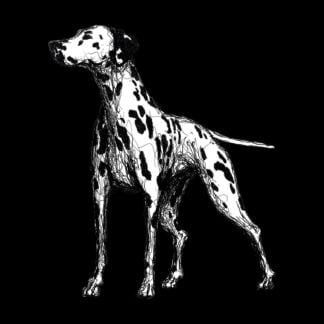 Dalmatian Owner Clothing Gift Printed Heavyweight Organic Cotton T-shirt Gift From The House Of Dog.